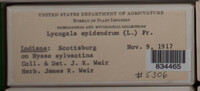 Image Associated With the Occurence